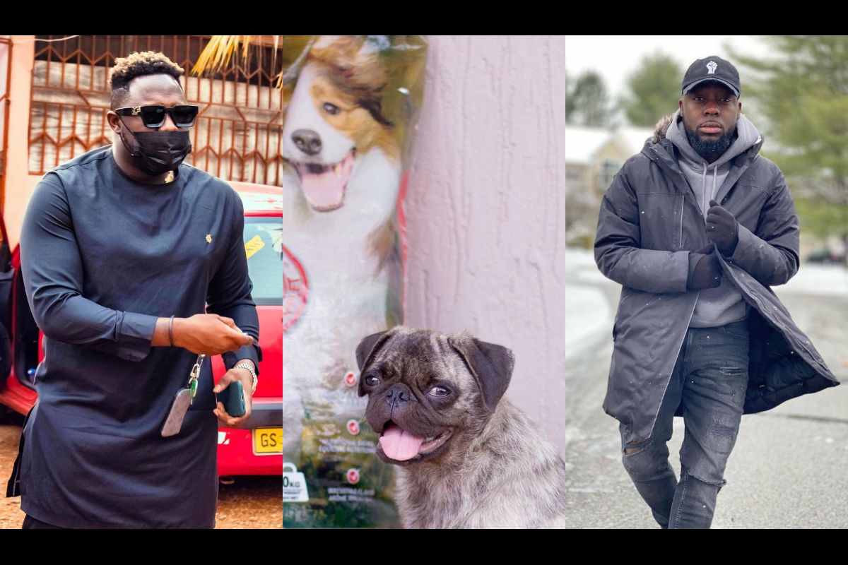 Medikal’s Dog, AMG El Chapo, Bags Ambassadorial Deal While Teephlow Is Still Struggling For A Hit Song