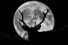 Eid Ul Fitr Moon Sighting Saudi Arabia