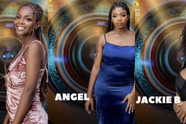 BBNaija Female Housemates 2021: Meet The Beautiful BBNaija 2021 Female Housemates