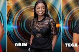 BBNaija 2021: Results Of How Fans Voted For Arin, Princess, And Tega
