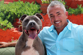 Cesar Millan Net Worth, Ex-wife, Girlfriend And Pitbull Attacks