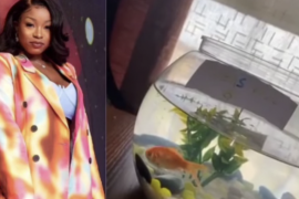 BBNaija 2021: Jackie B Gets Emotional As Biggie Reunites Her With Her Pet Fish