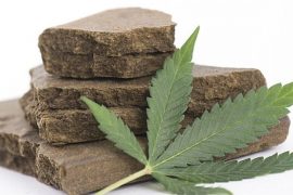 What Is Charas And What Is It Called In English?