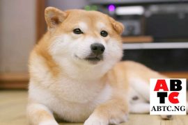 Shiba Inu’s Price Skyrockets; Gains 90% In The Past 24 Hours