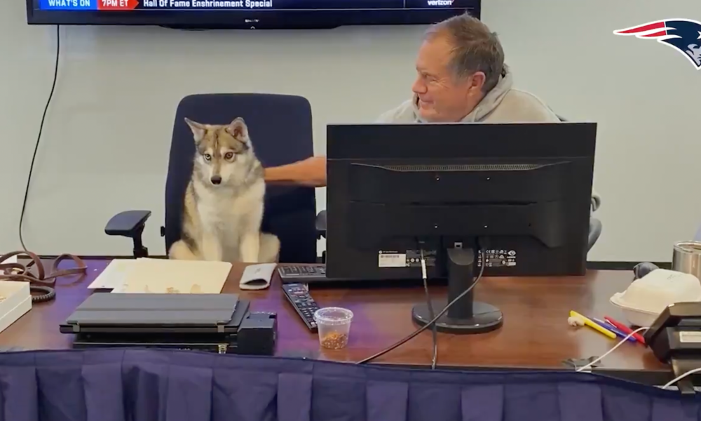Bill Belichick and his dog