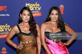 Who is better Nikki or Brie Bella?
