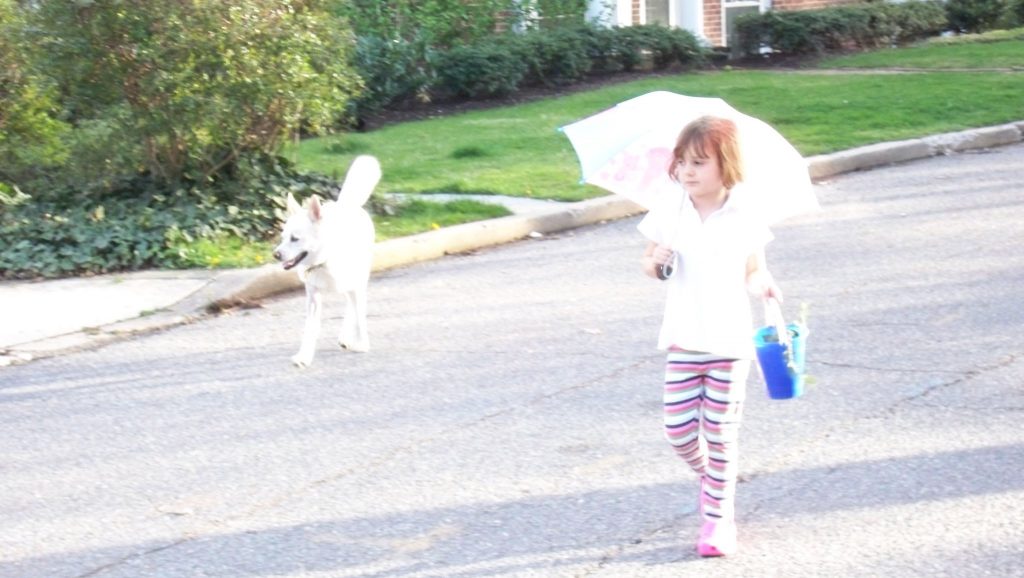 Lucy in 2018