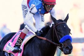 Medina Spirit Height, Trainer, Pedigree, Meaning, Death, Earnings