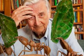 What Was Edward O. Wilson Known For?