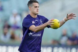 Who Is Harley Balic’s Girlfriend Ebony?