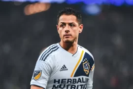 Has Javier Hernández won a Champions League? Why is Javier Hernández called Little Pea?