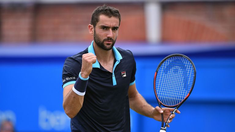Marin Čilić