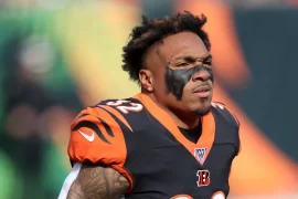 Trayveon Williams Salary, Contract, College, High School, Draft, Fantasy, Wiki, Cut