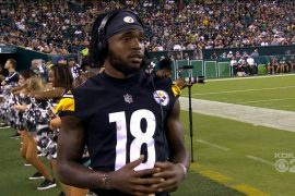 Diontae Johnson Drops This Year, Contract, Salary, PFF, Age, College, 40 Time, Jersey