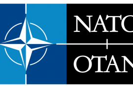 NATO: What does it stand for? How many countries are in NATO?