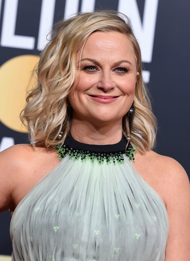 Amy Poehler
