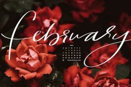 February Meaning, Birthstone, Zodiac Sign, Horoscope