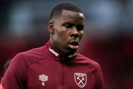What did West Ham player do to cat?