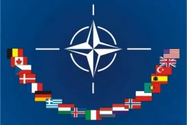 NATO Article 4: What is Article 4 of the NATO treaty? When has NATO Article 4 been invoked?