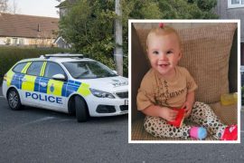 Dog Kills Baby: What kind of dog killed 17 month old? What type of dog killed the baby in St Helens?