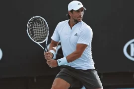 Is Fernando Verdasco married? Is Fernando Verdasco still playing tennis?