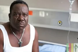 When was Mr. Ibu born? Where did Mr. Ibu live?