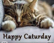 Is Caturday a thing? What is Caturday at UK? When was lolcats created?