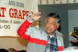 What is Cesar Chavez known for? Why is Cesar Chavez a hero?