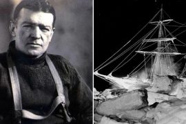 Ernest Shackleton Endurance Ship Found, Nationality, Facts, Advertisement, Shipwreck