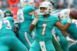 How Much Does It Cost To Go To A Miami Dolphins Game?