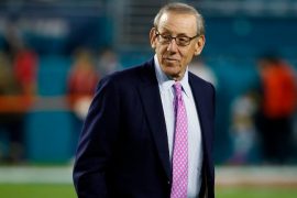 Who owns Miami Dolphins? How much did Stephen Ross buy the Dolphins for?
