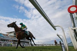 How many horses died in the Grand National?