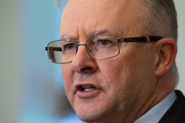 What is Anthony Albanese role?