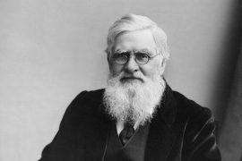Did Charles Darwin steal from Alfred Wallace? How did Alfred Wallace influence Darwin?