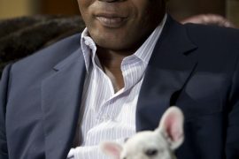 Mike Tyson Boxing Record
