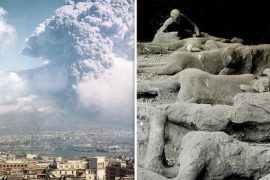 How many people died in Pompeii?