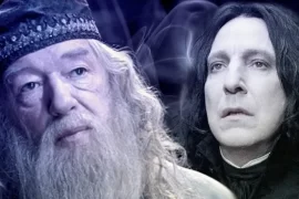 Why did Snape kill Dumbledore in Harry Potter?