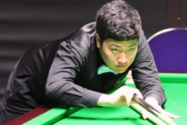 What Has Yan Bingtao Won?