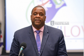 Andrew Fahie Net Worth