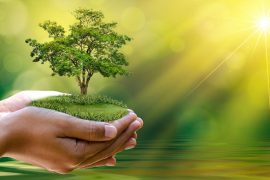 Earth Day 2022: Why Is Earth Day A Thing? What Can I Do For Earth Day?