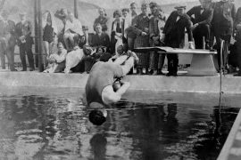 Which Magician Died In A Water Tank?