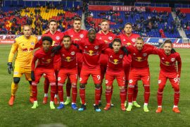 Who Owns Red Bull Stadium? Does Red Bull Own New York Red Bulls?