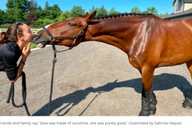Did Zara Buren horse survive the accident? How did Zara Buren save her horse?