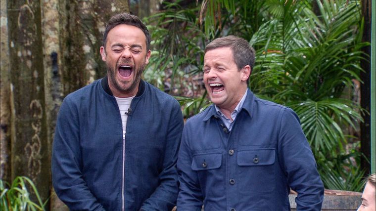 Who Are Ant And Dec On BGT Is Ant And Dec Brothers ABTC