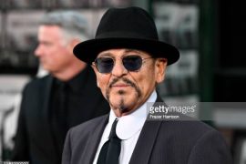 What movie did Joe Pesci make the most money?