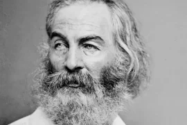 Walt Whitman Education: Did Walt Whitman go to college? Where was Walt Whitman educated?