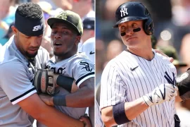 Josh Donaldson Comment: What did Josh Donaldson say to Anderson?