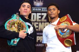 Who won Oscar Valdez vs Shakur Stevenson?