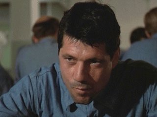 Young Fred Ward