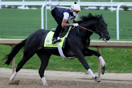 2022 Kentucky Derby Contenders